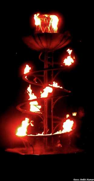 Fire And Water: The Magics Of Life