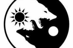 flying or falling…