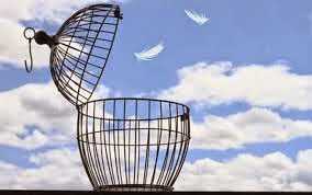 Freedom Means To Me...