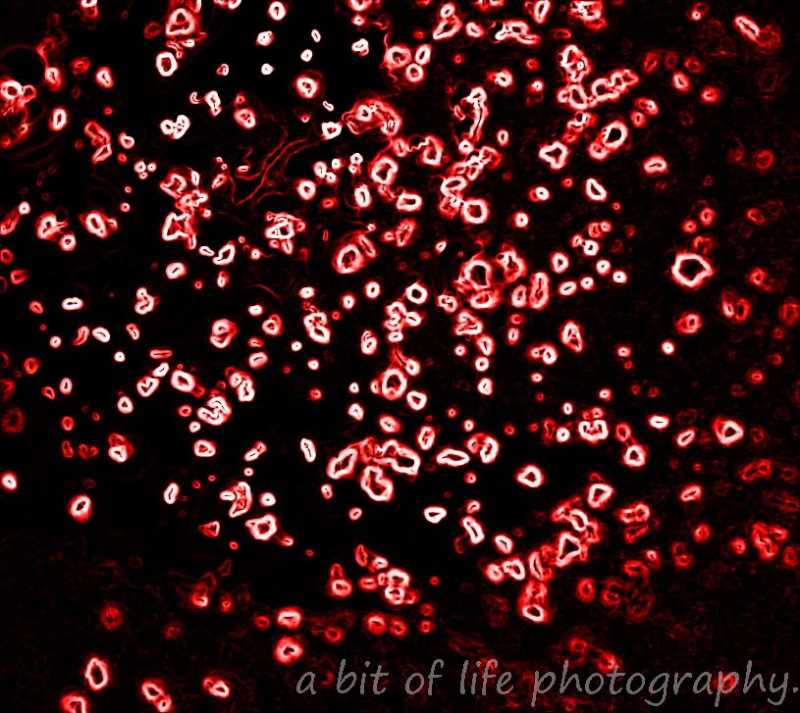 Guess What Is This ??? Hint:abstract Of Something You Use Everyday.