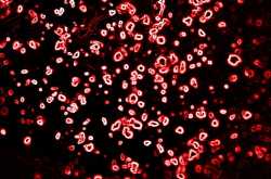 guess what is this ??? hint:abstract of something you use everyday.