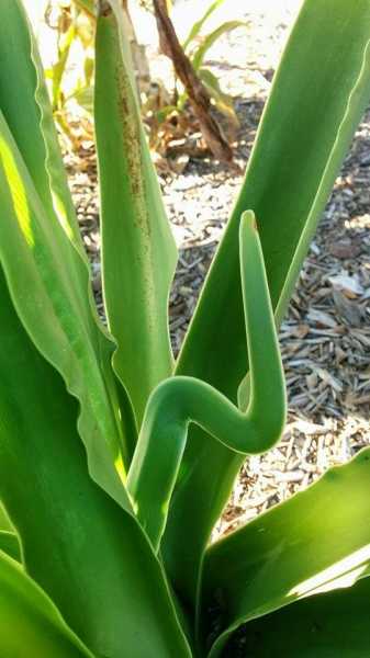 Happy Birthday To Sekar !!!