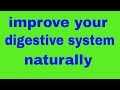 How To Improve Digestive System Naturally