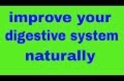 how to improve digestive system naturally