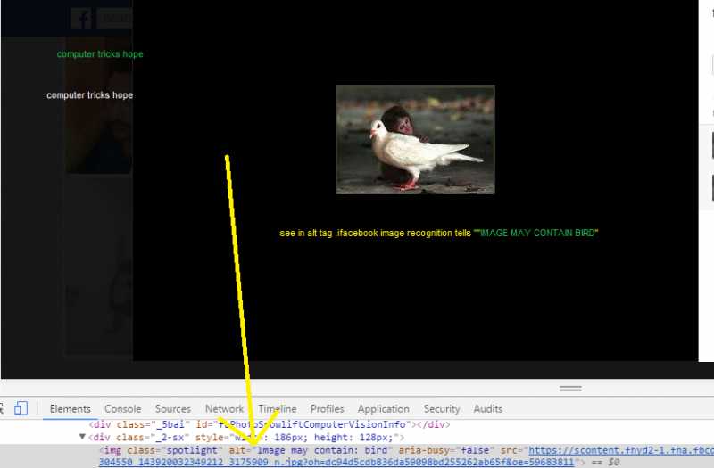 How To Know What Facebook Can See Inside Your Photographs
