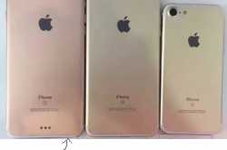 iPhone 7: All About iPhone 7 Pictures Specification and Price