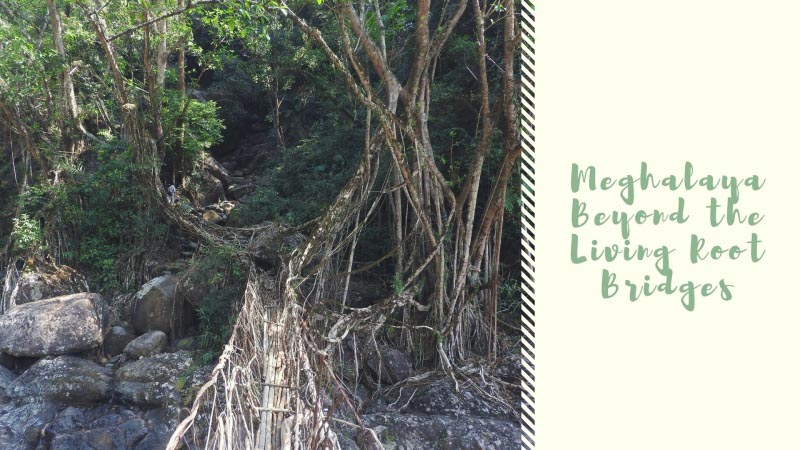 IRediscover | Meghalaya Beyond The Living Root Bridge