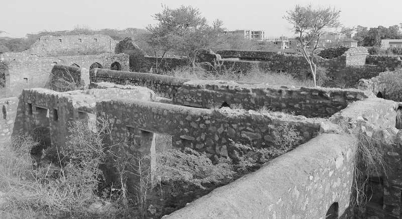 If Graves Could Speak