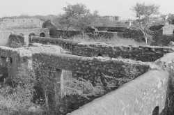 if graves could speak