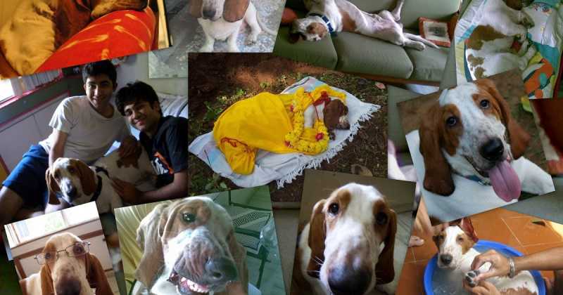 It All Ends, 15.7.11