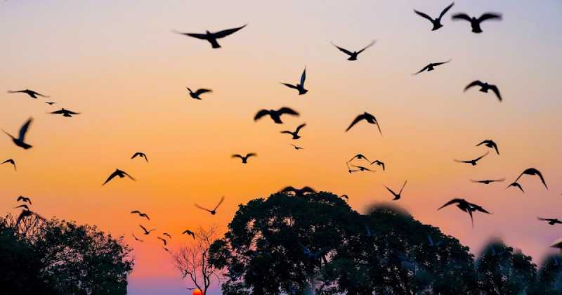 Kahi Naa Hona Sayad Ek Sachhaayi Hai