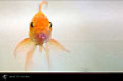 lets talk some serious business