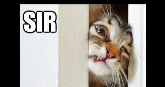 Little Moments Of Happiness