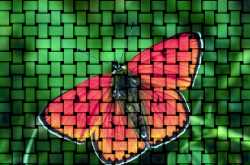 modern world (daur-e-hazir)