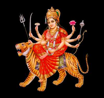 Naveengfx.com|PSD Templates|invitation Psd Templates|ping Files|flex Banners|political Greetings