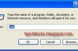 open autorun virus in dos