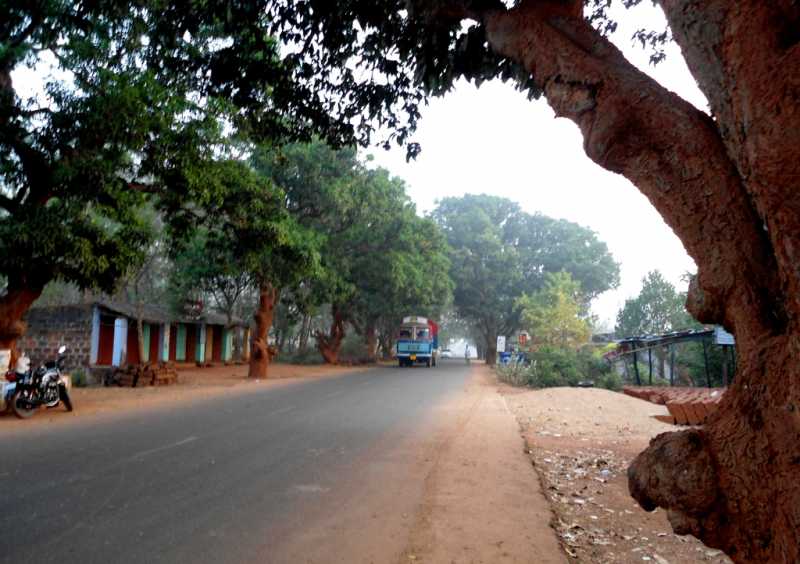 Orissa Again: Mangalajodi And Konark