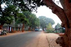 orissa again: mangalajodi and konark