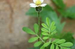 photo story - little events ordinary things