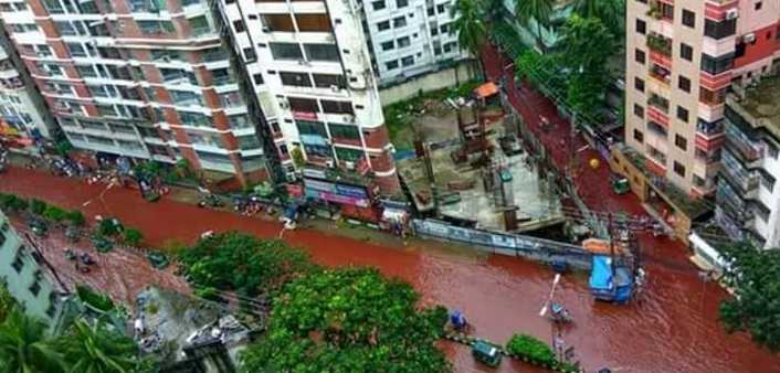 Rants Of A Meat-eater