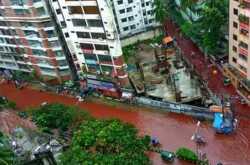 rants of a meat-eater