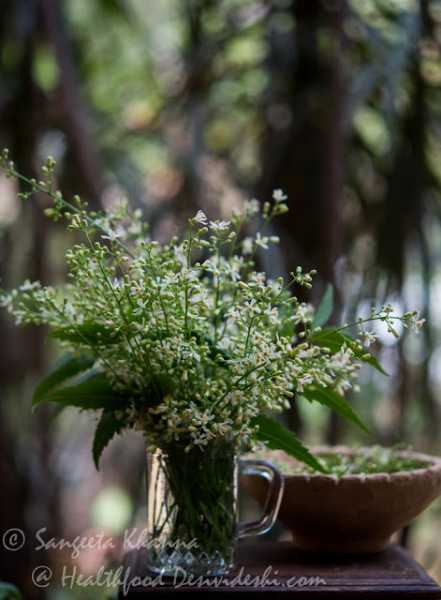 Recipe Of Neem Flower Infused Buttermilk (veppampoo Moar Kuzhambu)