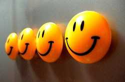 searching for happiness