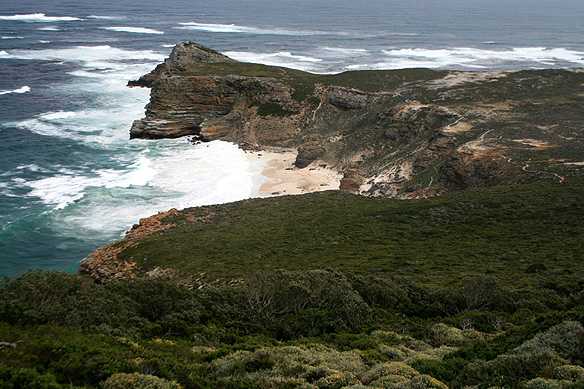 South Africa 3: Cape Peninsula, The Company Of Nature And Wine