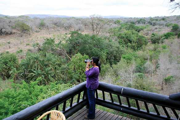South Africa 6: Kwazulu-natal Adventure-from Sani Pass To Its Game Reserves