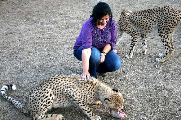 South Africa: Travel Resources-where, What, Why, How