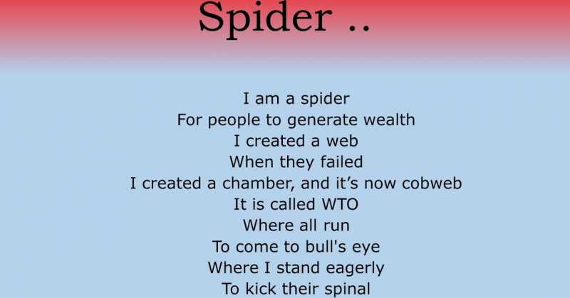 Spider
