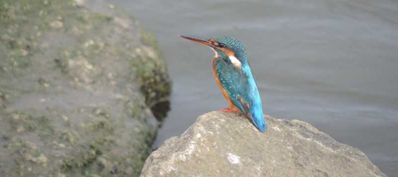 Surprises On The Way - Photo Essay