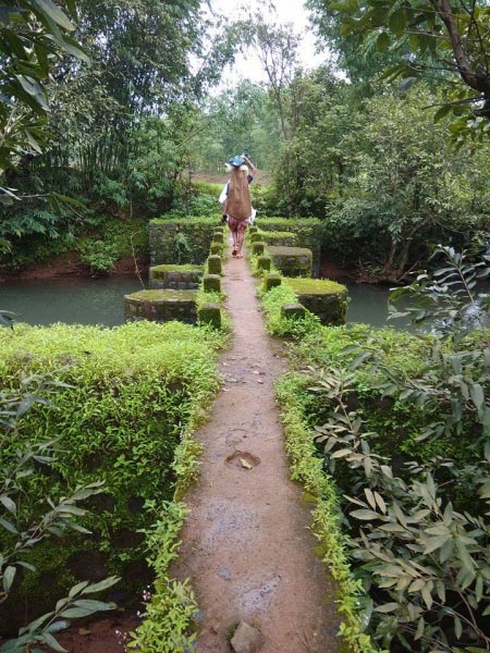 The Story About Us…