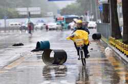 the vikings of our times