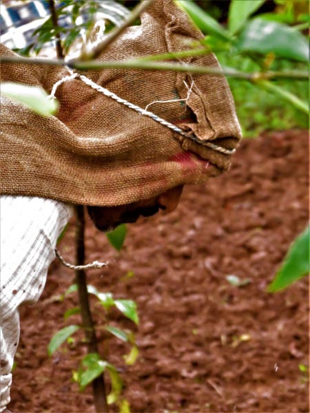 The Year Gone By….