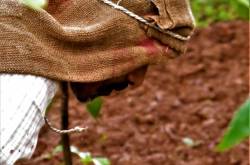 the year gone by….