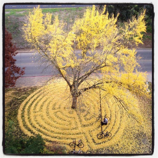This Student Counsellor Turns Fallen Leaves Into Beautiful Leaf Craft - Curators Of Quirk