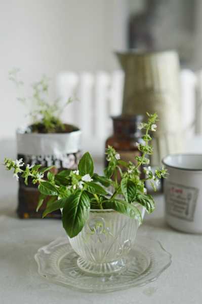 Valentines Day The Way It Should Be Celebrated, With Love