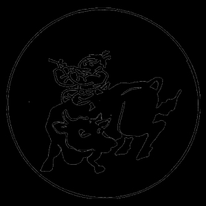 When You Are Not Looking