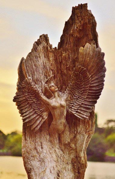 Wood Carving By Mother Nature And Debra Bernier - Curators Of Quirk